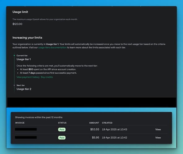 The image shows an OpenAI usage and billing dashboard displaying a $120.00 monthly usage limit, current usage tier information, criteria for increasing limits, and a payment history with two paid invoices. (Captioned by AI)