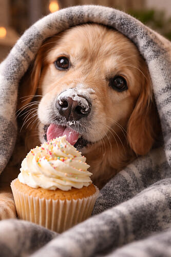 e72499fc-c5fd-4b0a-bd74-58761adae1a7