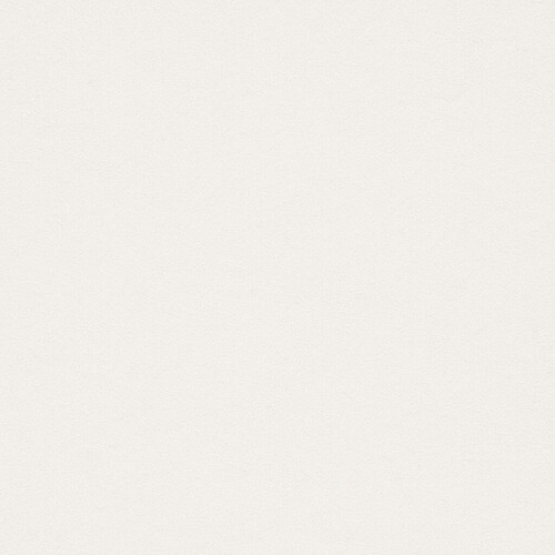 This image shows a plain, textured white surface that resembles a blank sheet of paper. (Captioned by AI)