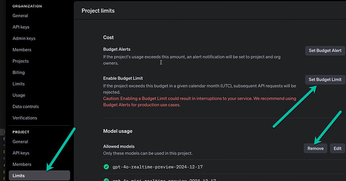 The image shows a 'Project limits' settings page for managing cost alerts, budget limits, and allowed models with options to set limits, remove, or edit models, highlighted with arrows pointing to 'Limits', 'Set Budget Limit', and 'Remove' buttons. (Captioned by AI)