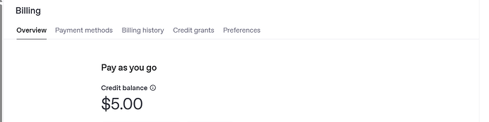 The image shows a billing overview page with a 'Pay as you go' credit balance of $5.00. (Captioned by AI)