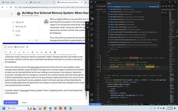 The image shows a computer screen split between a web browser on the left, displaying a post about building an external memory system, and a code editor on the right, open to a project with search results related to "struct_mem" and code discussing message filtering. (Captioned by AI)