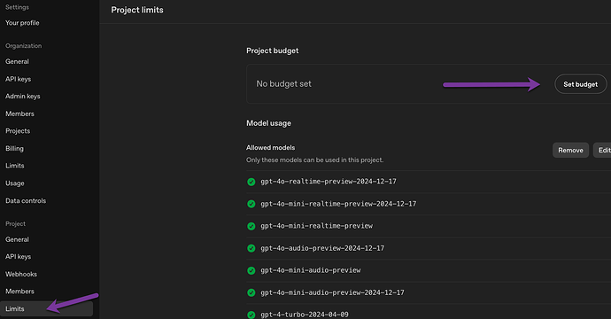 The image shows the 'Project limits' settings page of a web dashboard with purple arrows pointing to the 'Set budget' button and the 'Limits' menu item. (Captioned by AI)