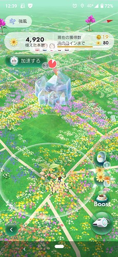 Screenshot_20240925-123940