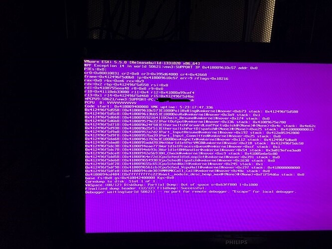 VMWARE ESXi purple screen of death PF Exception 14