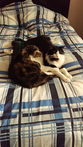 IMAG0406.jpg