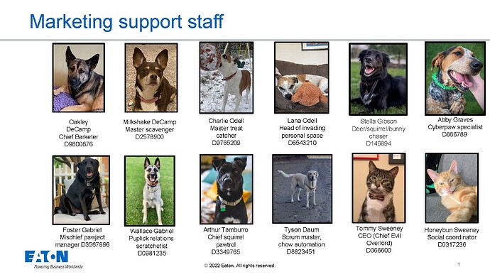 CPDI-pets