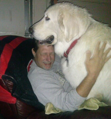 Eddie the lap dog