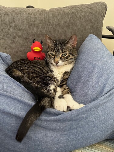 tom 2