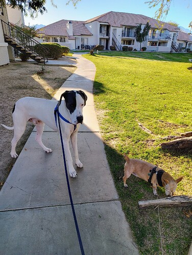 IMG_20250113_152535347_HDR_AE