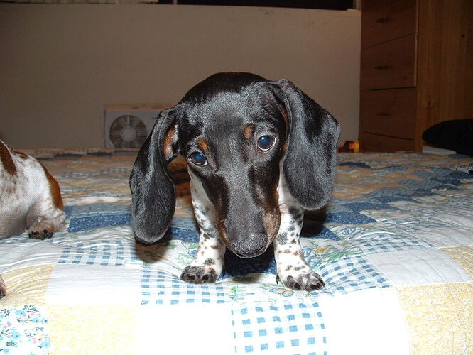Picture_106.jpg