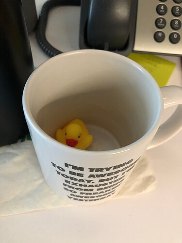 2018-10-11_09.31.45.jpg