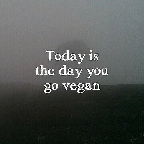 0269fc31-af05-44dc-b239-aa42011a0079-go_vegan.jpg