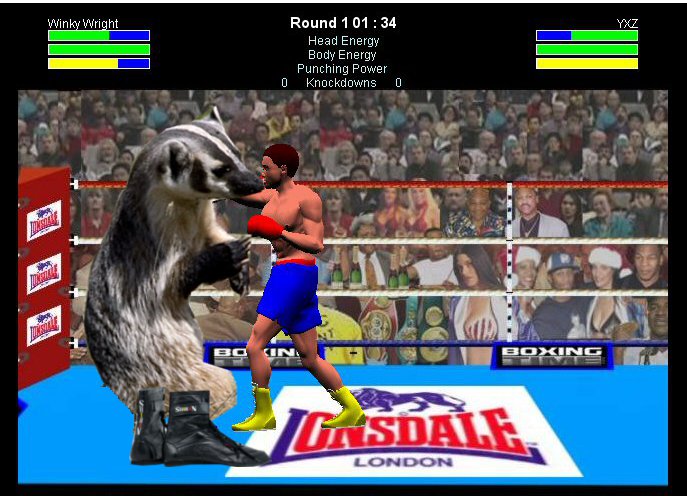 badger_fight.jpg