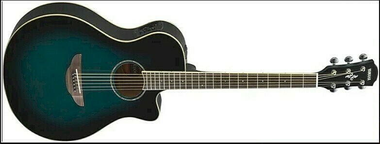 【希少・美品】初代 YAMAHA APX500 DSC_0259_ca4e7e26-229d-4057-