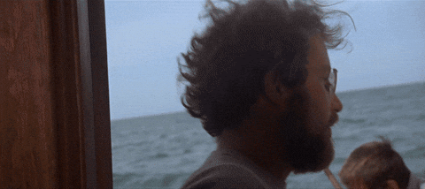 Jaws