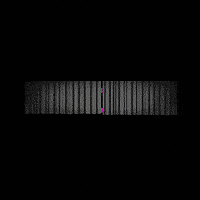96d2d718-dada-495e-a433-769804ae42b8-200w_(1).gif