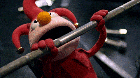 3fd42579-7311-48c7-ab09-f348cf9a1cd4-muppet-strength-training.gif