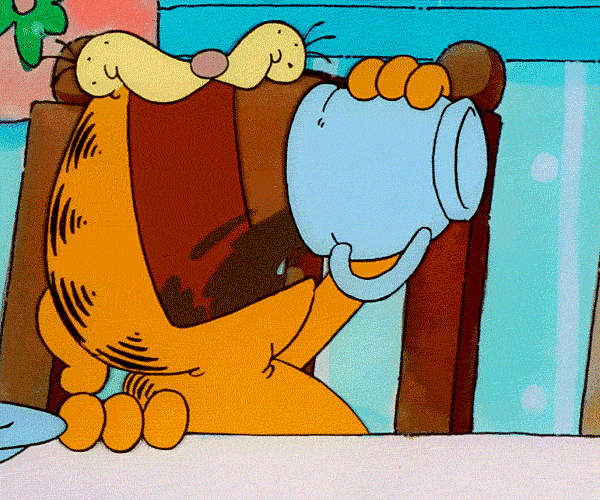 cc595039-6bbf-4c1b-aba0-bd5e78c7e9df-garfield.gif