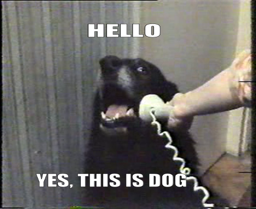 Image: http://i0.kym-cdn.com/photos/images/newsfeed/000/217/040/48ACD.png