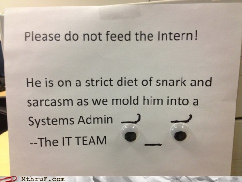 Intern.jpg