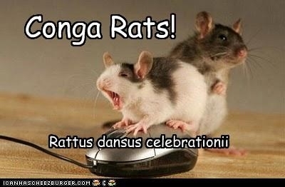 conga_rats.jpg
