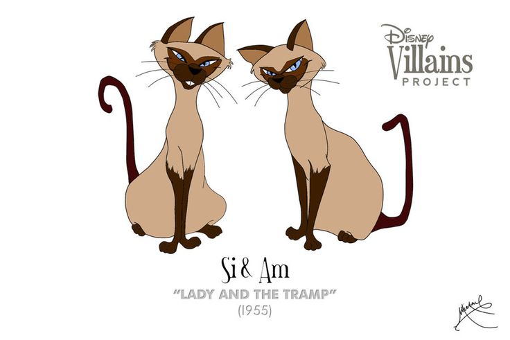 We Are Siamese If You Please