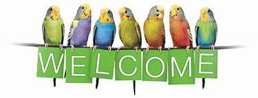 birds_welcome.jpg