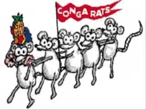 conga_rats2.jpg