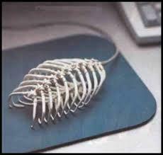 2ca49fe9-d0bd-4b9e-8d05-453980c0a7d4-Bone_Mouse.jpg