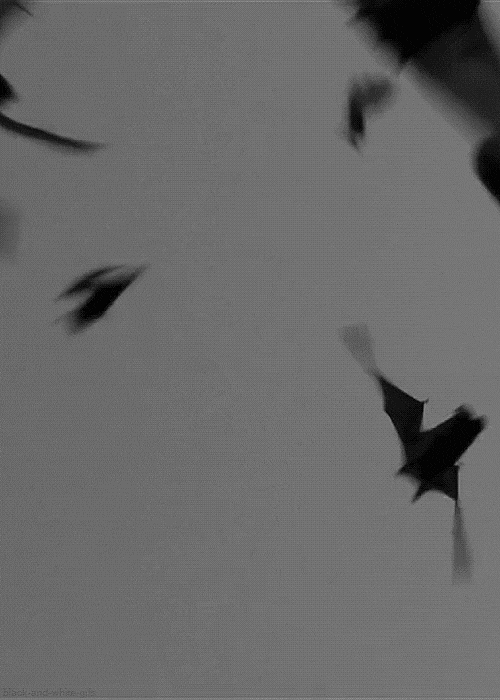 94b33c55-e246-4390-b891-82bcdc7e2eb7-giphy_-_2022-09-12T143043.358.gif