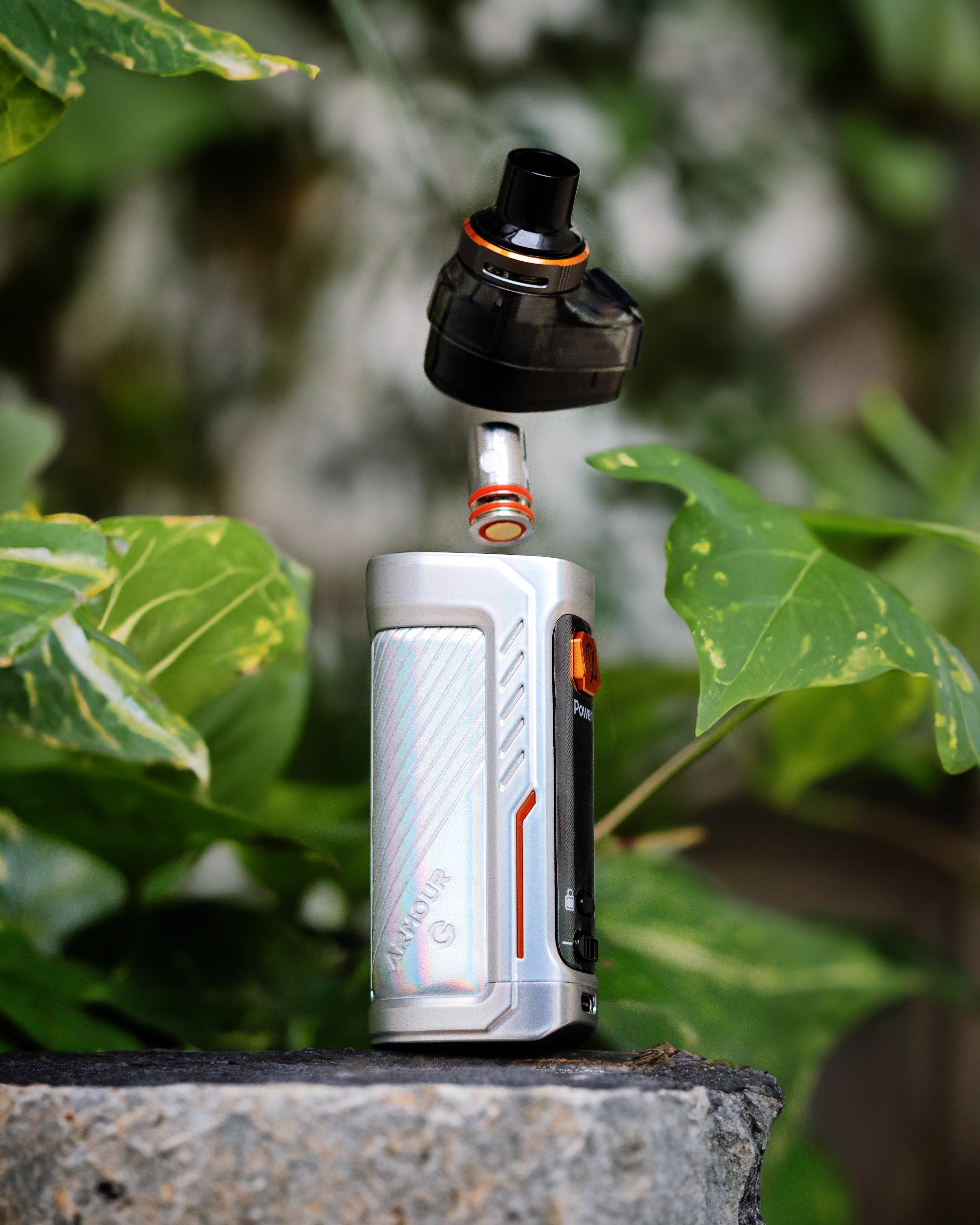 IMG_20241227_143247_353