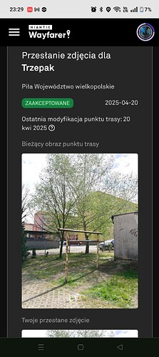 1000019431