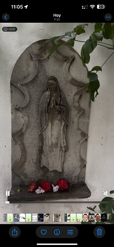 IMG_7428