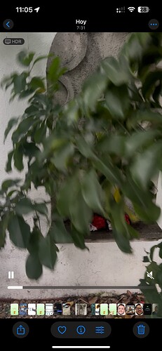 IMG_7429