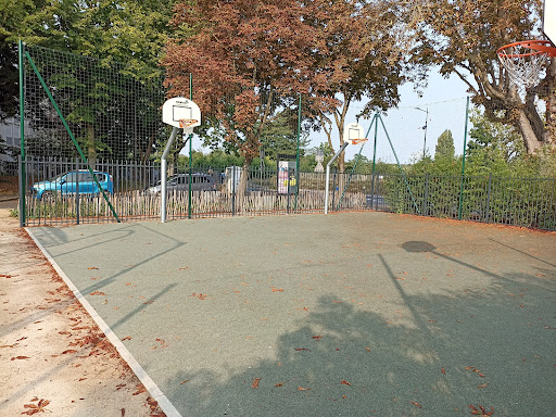 basket new