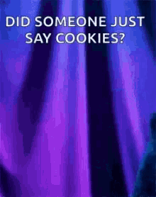 a purple background with the words  did someone just say cookies '' on it .