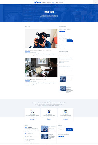 nvysion-website.webflow.io_blog
