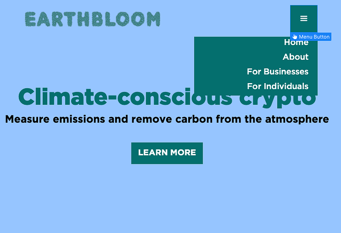 Screen Shot 2021-04-14 at 11.17.33 AM