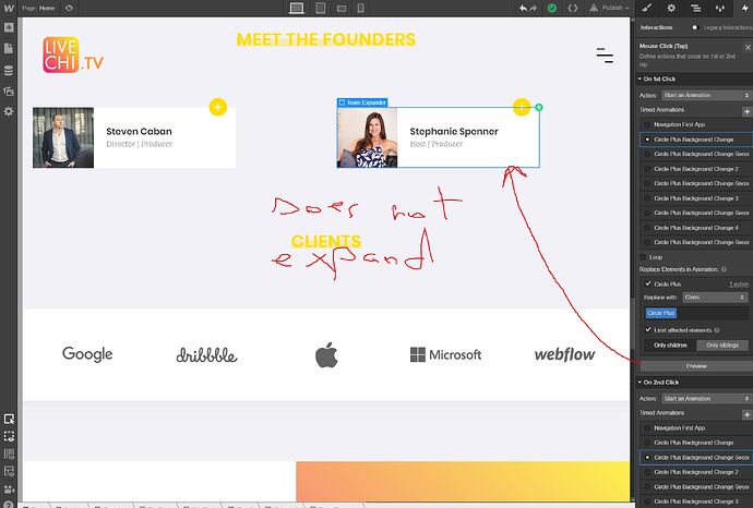 WEBFLOW%20EXPANDER%20CANT%20EDIT%20TEXT