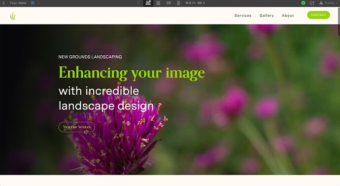 Screen Shot 2023-01-30 at 11.53.22 AM