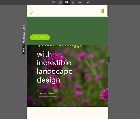 Screen Shot 2023-01-30 at 11.55.16 AM