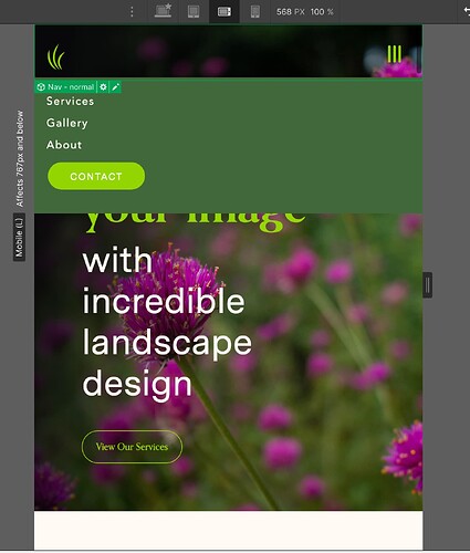 Screen Shot 2023-01-30 at 11.55.31 AM