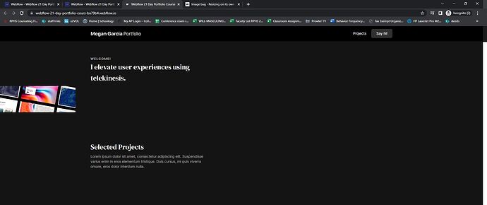 webflow publish issue