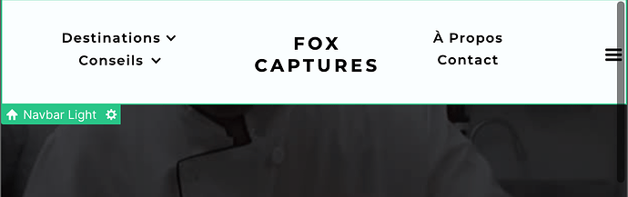 Capture d’écran 2022-03-15 à 17.50.02