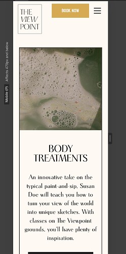 Screenshot 2024-08-26 at 13.33.02