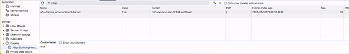 Screenshot 2025-06-11 at 4.41.03 PM