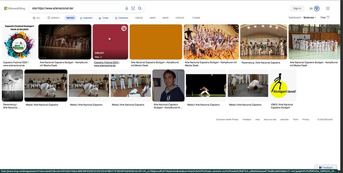 A Microsoft Bing search results page displaying images related to Arte Nacional Capoeira Stuttgart. (Captioned by AI)