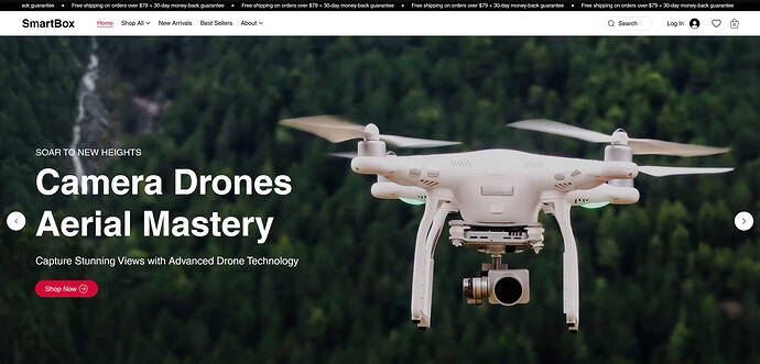 Smart Box Wix Studio Website Template