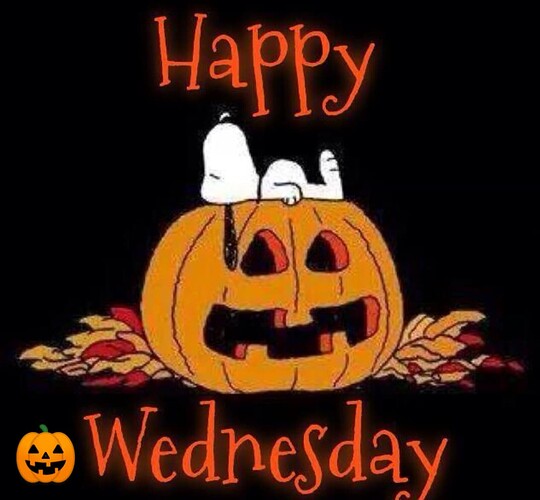 Screenshot_20241009-084625~3